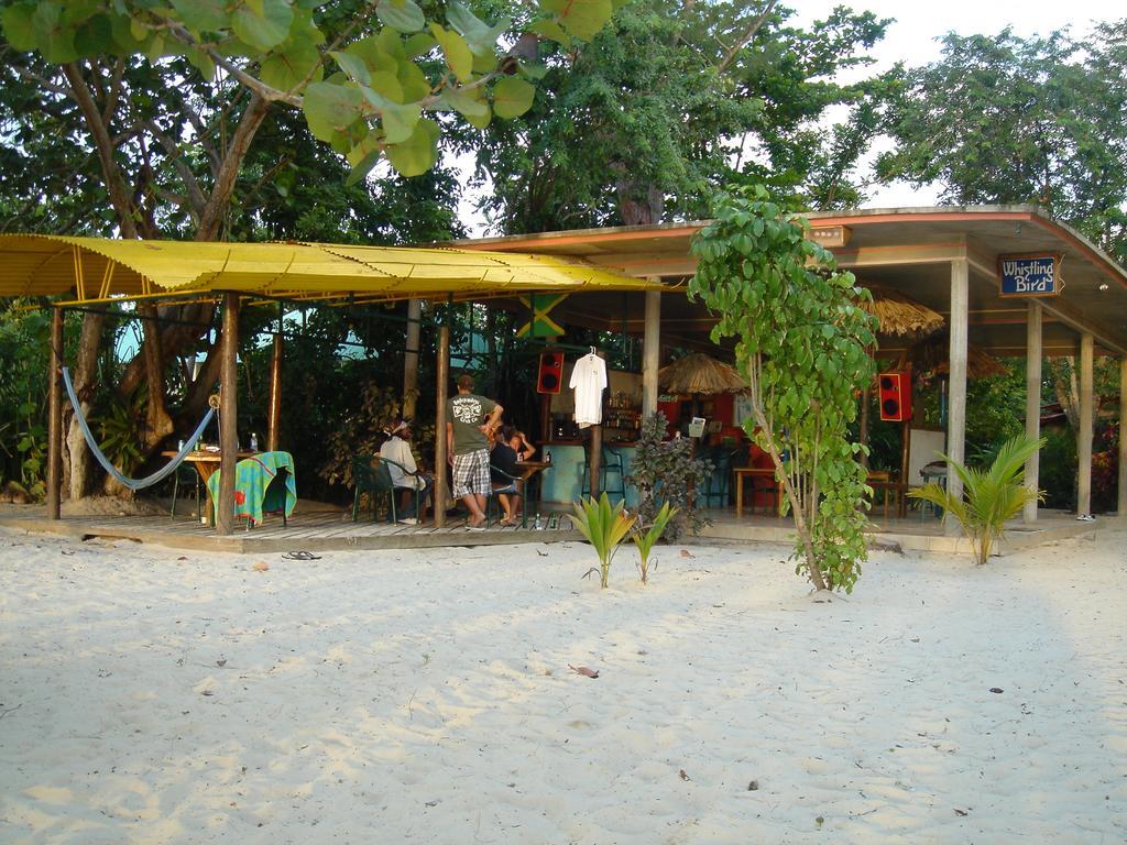 Hotel Whistling Bird Negril Exterior foto